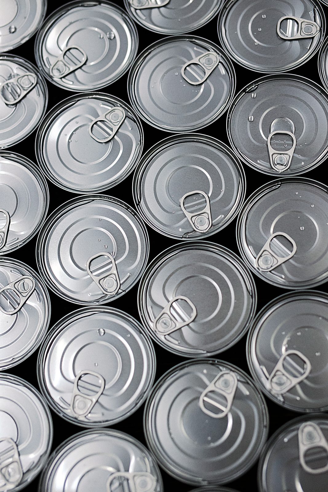 Canned giant squid and smoked trout produced in our own cannery in Peru — Tonari