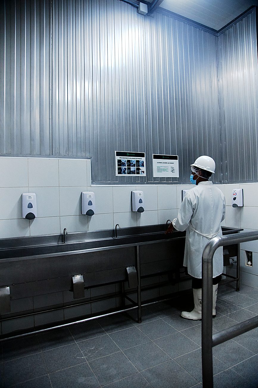 BRCGS hygiene station with posted hand-washing procedure — Tonari Peru