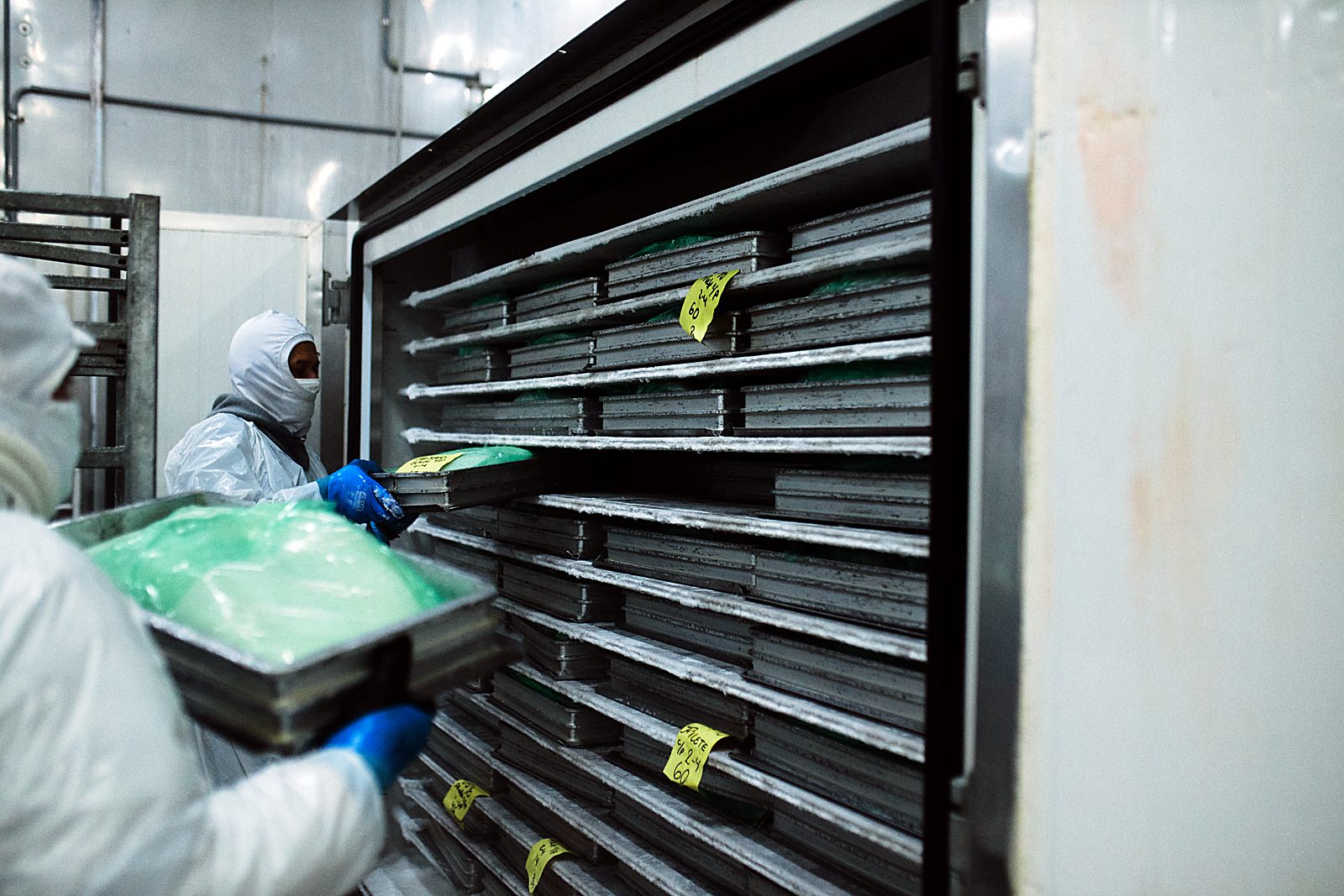 Loading plate freezer trays at our plant in Peru — Tonari