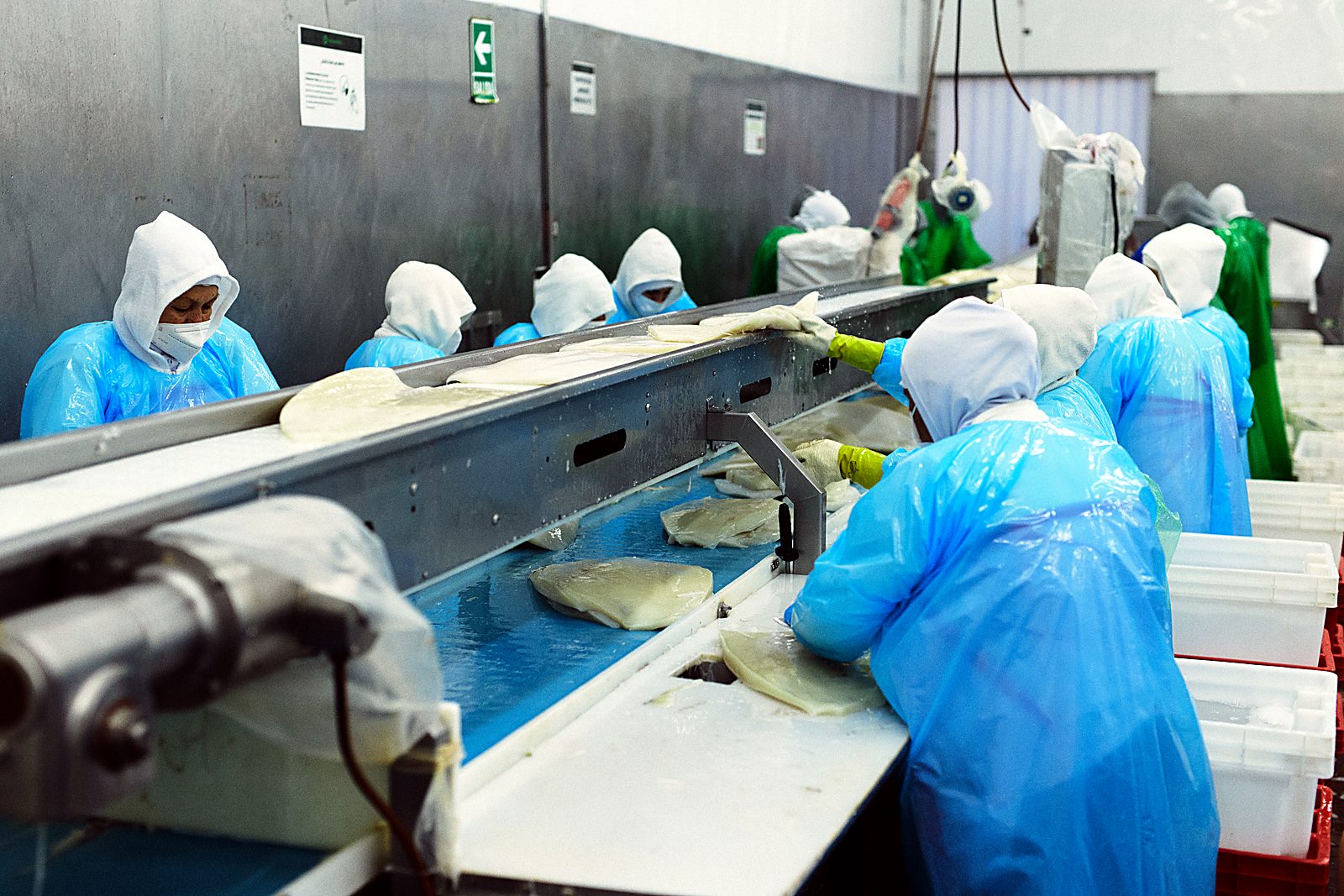 Processing line at our plant in Peru — Tonari